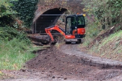 12 Mini Excavator