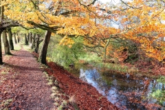 Canal in Selly Oak Park