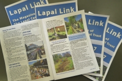 Lapal Link Mag