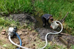 Peter busy clearing